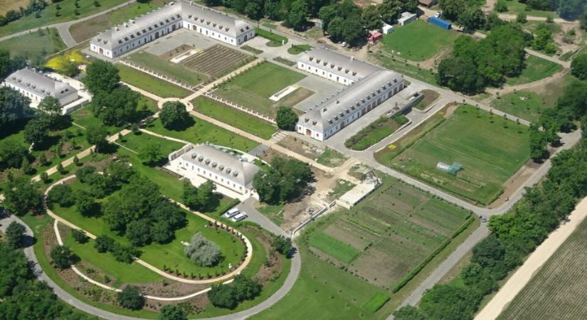 Magyar Péter gesztusai és a hatalomgyakorlás új mintázatai