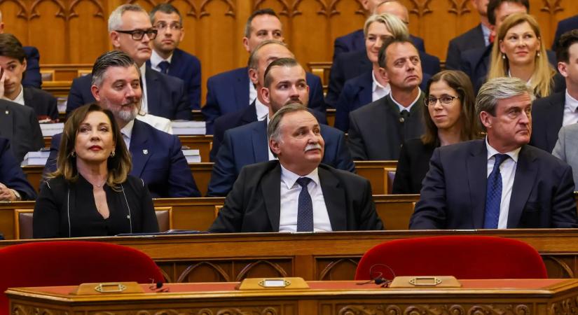 Vége a tarvágásoknak: Gajdos László azonnali moratóriumot hirdetett a védett erdőkben