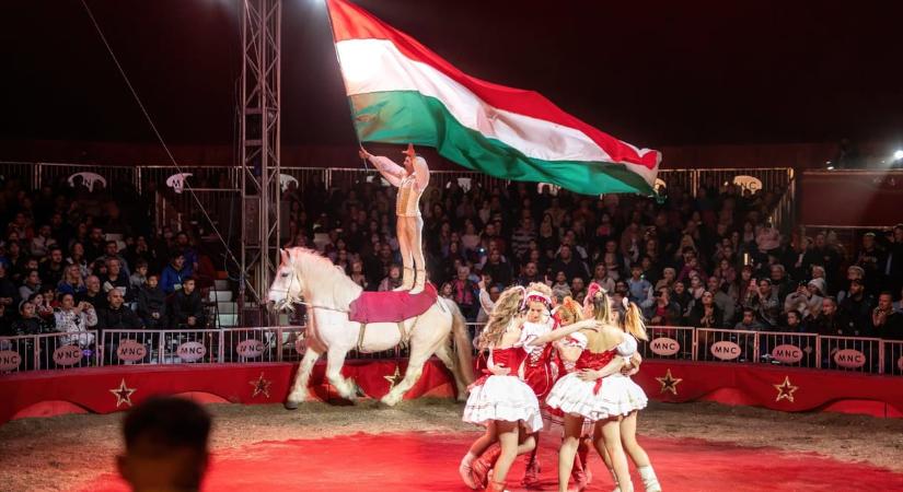A Magyar Nemzeti Cirkusz üdvözli, hogy Gajdos László betiltja a vadállatok cirkuszi szerepeltetését
