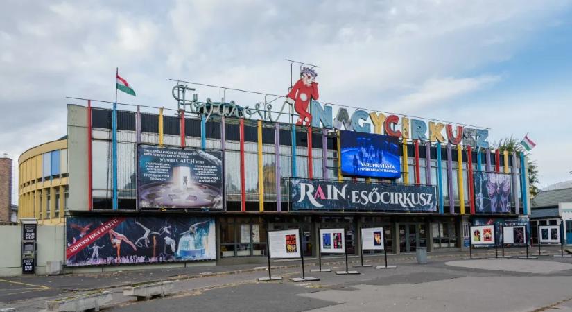 Örülnek a cirkuszok, hogy Gajdos László minisztériuma kitiltja a vadállatokat a cirkuszokból