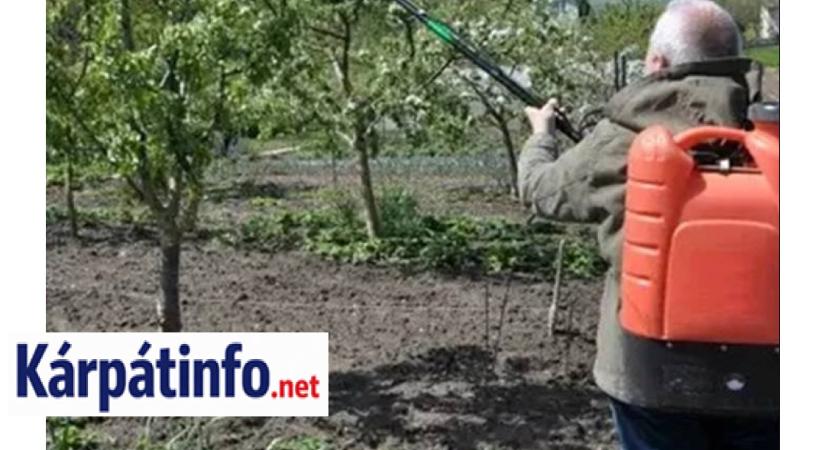 Nem hagyhatjuk magára gyümölcsfáinkat! - Kötelező a minimális növényvédelem