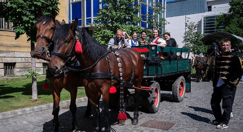 Pénteken csak lovaskocsival szabad parkolni az egyik debreceni utcában