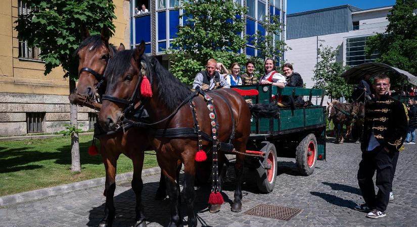 Parkolás a debreceni utcában: csak lovaskocsival