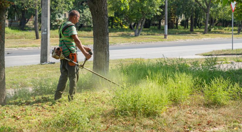 Teljesen megváltozik Budapest kinézete: drasztikus lépésre kényszerült a Főkert
