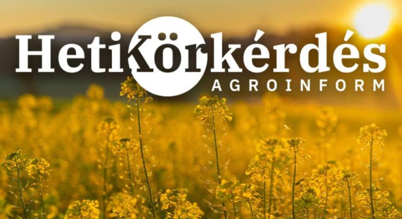 Pillanatképek és tanulságok a repceföldekről – Heti Körkérdés
