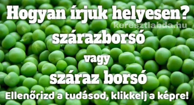 Napi helyesírás feladat: „Szárazborsó” vagy „száraz borsó”, te is abba a 90%-ba esel?