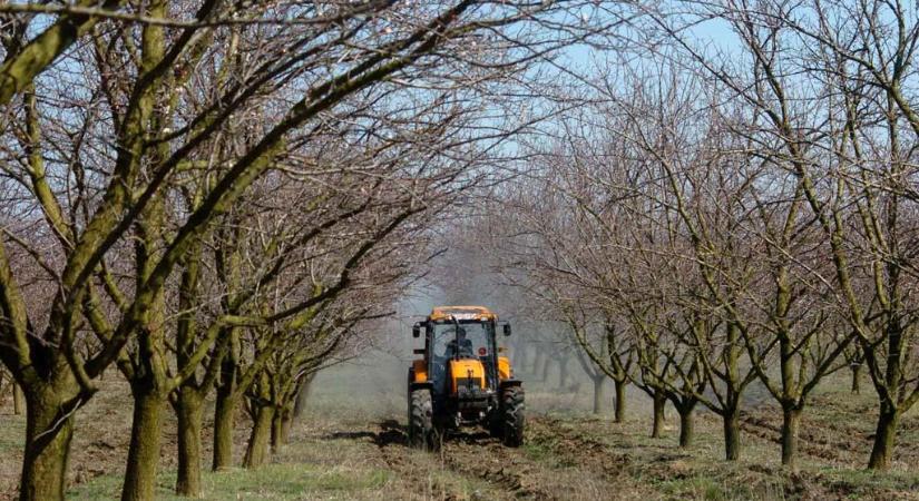 Újabb uniós vita Magyarországgal, jogszabályba ütközik egy rendelkezés