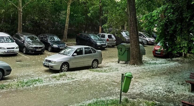 Hatalmas vita robbant ki: egymásnak estek a kommentelők a nyárfaszösz kérdésében
