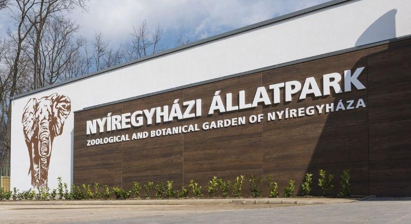Új ügyvezető a Nyíregyházi Állatpark élén, ő váltja Gajdos Lászlót
