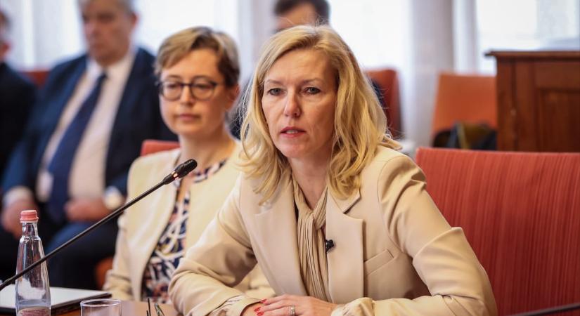 Rejtélyes találmány, végrehajtó-maffia, devizahitelesek Görög Márta meghallgatásán – videó