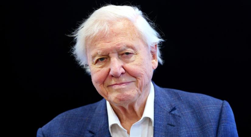 Gondoltad volna? Ez a szokás segített David Attenborough-nak abban, hogy megélje a 100 éves kort