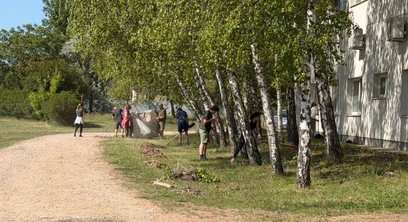 Rendet raktak a fehérvári pentatlonistáknál - video