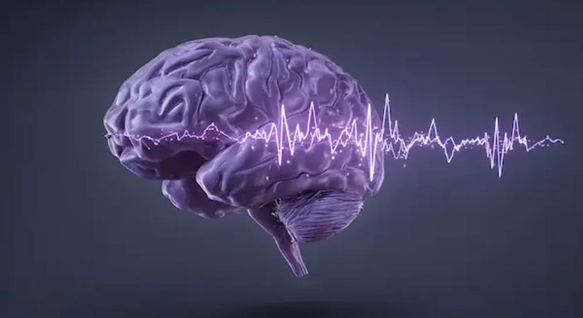 Apró szondák segíthetnek megérteni az epilepsziás agyat