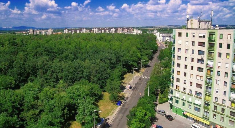 Összefogás keretében újul meg a farkas-erdei Vasgyúró tornapálya