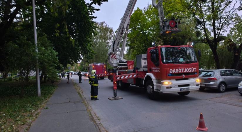 Sorra dőltek a 20 méteres fák, kegyetlen szélvihar tépte meg a kisbéri rendőrséget fotók