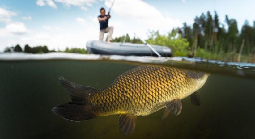 Elképesztő, milyen méretekkel dőlt meg a 13 éves horgászrekord