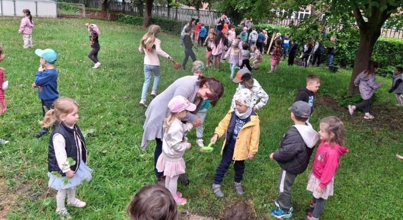 Ebben az egri óvodában a fák majd együtt fognak nőni a gyerekekkel