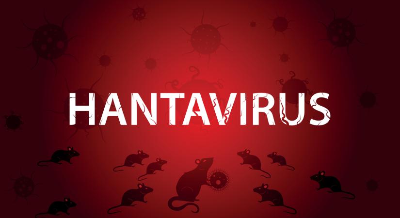 Terjed a hantavírus: megváltozhatott a fertőzőképessége?