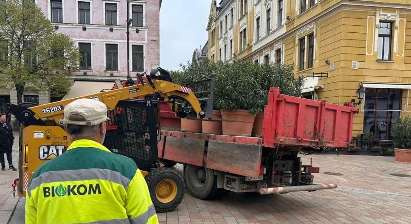 Elképesztő hazardírozás megy Pécsen, merre száguld a város?