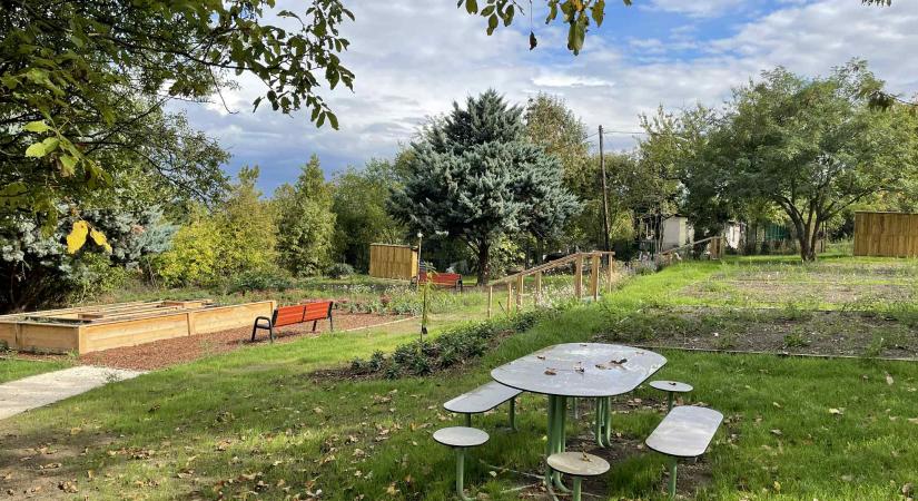 Városi Farm: még idén tovább bővülhet a farmterület