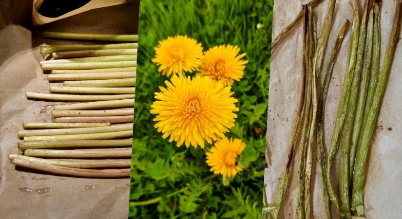 Ropogós különlegesség a kertből: pitypangszárból készült snack hódít