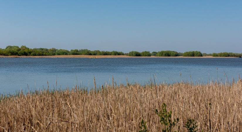 Megvádolták a motorcsónakost, aki elütött és sorsára hagyott egy kajakost a Tisza-tavon