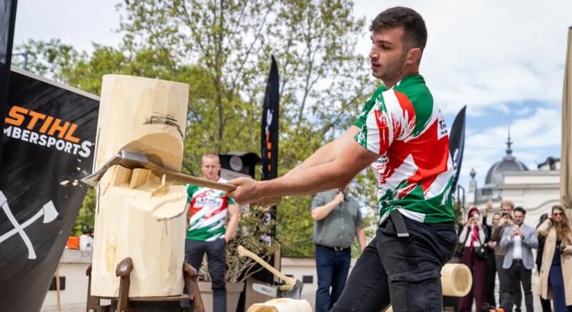 Igazi sportkülönlegesség Budapesten: jön a World Trophy favágóverseny és az első női sportfavágó-vb