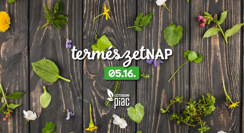 A természet kincsei költöznek az Esztergomi Piacra