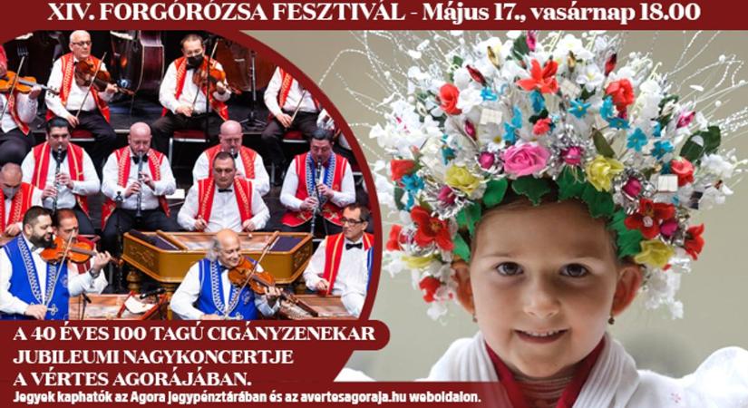 Háromnapos kulturális ünnep Tatabányán: érkezik a XIV. Forgórózsa Fesztivál