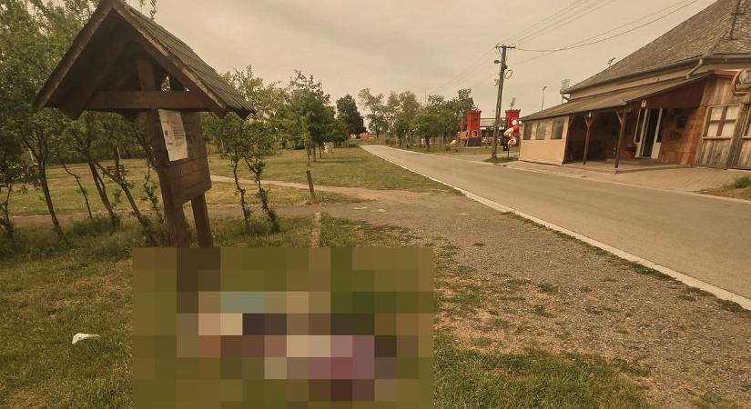 Disznólkodás ment az utca végén? Sokkolta a látvány a kisvárdaiakat!