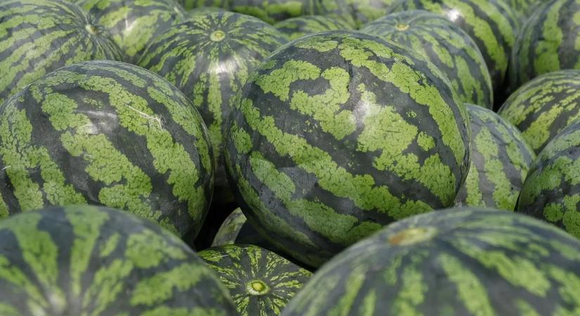 Patkányméreggel szennyezett dinnyét evett egy indiai család, mindenki meghalt