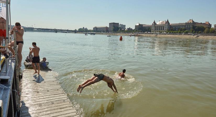 Újra lesz Budapesten Duna-átúszás
