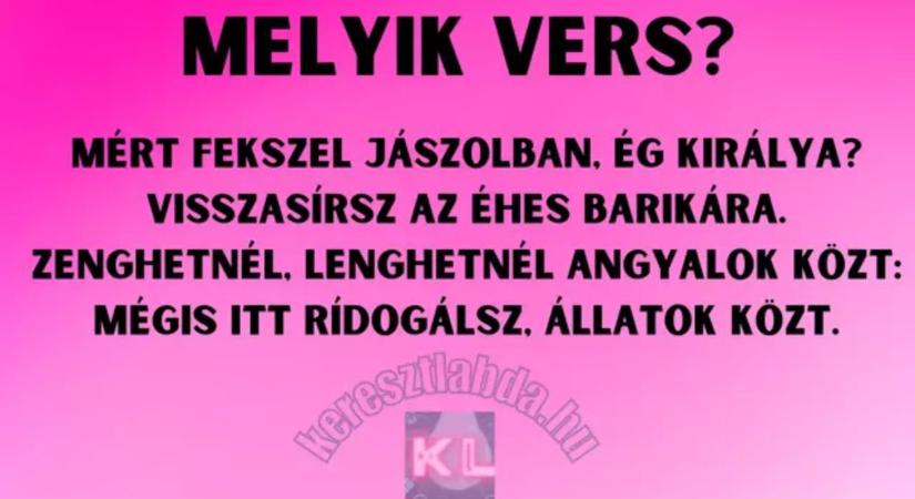 Napi irodalom feladat: Mért fekszel jászolban, kötelező volt, de tudod, kinek a tolla?
