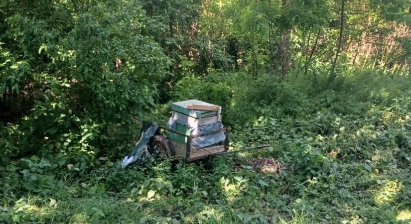 Kézikocsin lopta el a méhkaptárt a két bátor tolvaj