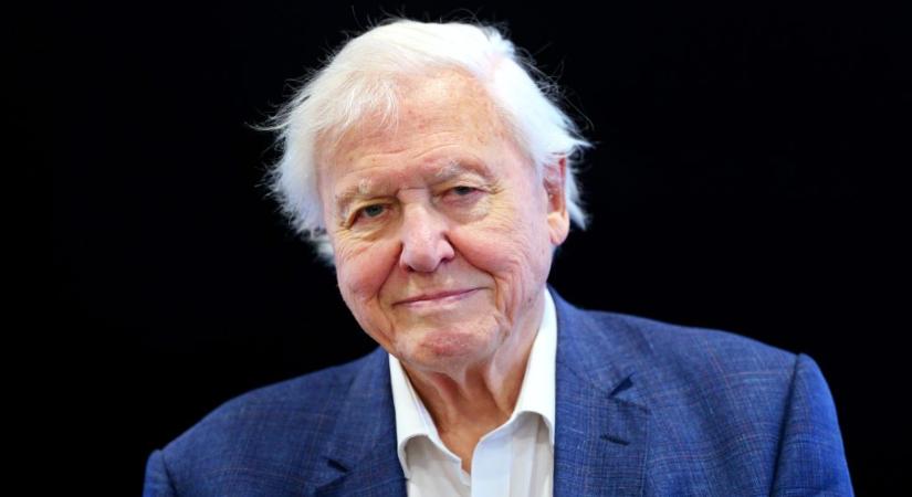 David Attenborough-ról neveztek el egy babát, aki pont a dokumentumfilmes 100. születésnapján jött világra