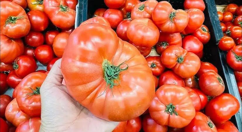 Vége a végtelen várakozásnak! Ettől a trükktől a zöld paradicsom napok alatt beérik