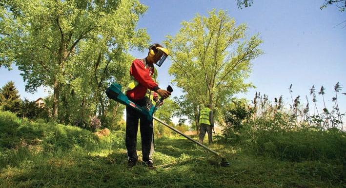 Rendet vág a főtájépítész a vágatlan május ügyében