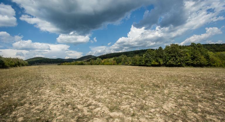 Elrendelték a központi védekezést a vízhiány ellen