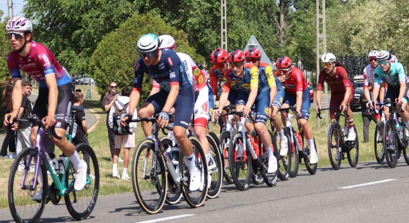 Centiken múlt a bukás: őz rohant a Tour de Hongrie mezőnye elé Kiskunfélegyházánál  fotók, videó
