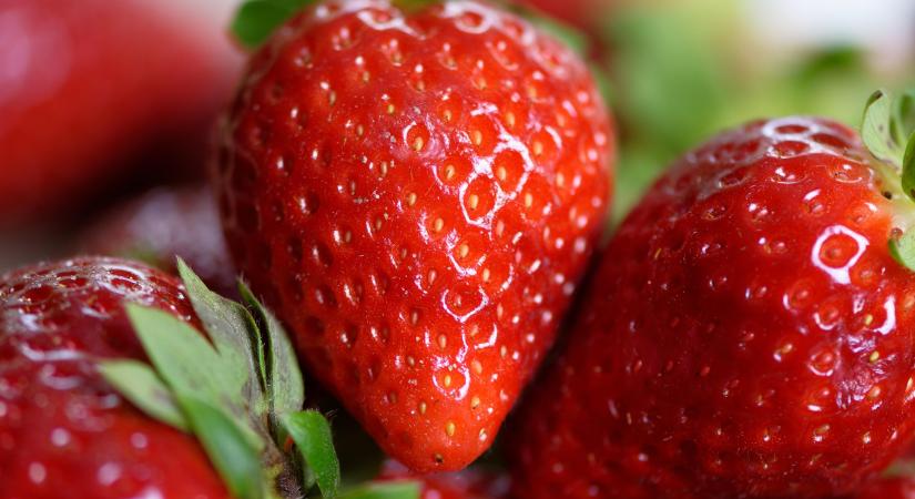 Svájc: elstartolt a szamócaszezon