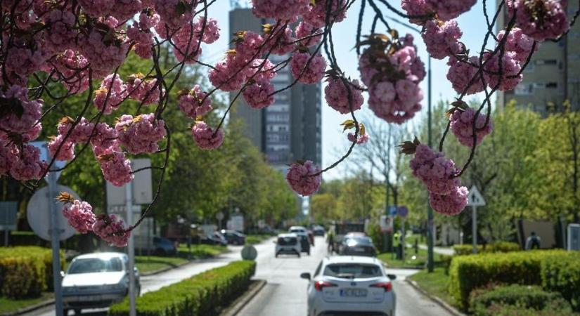 Indul a Vágatlan május a Mátraalján is