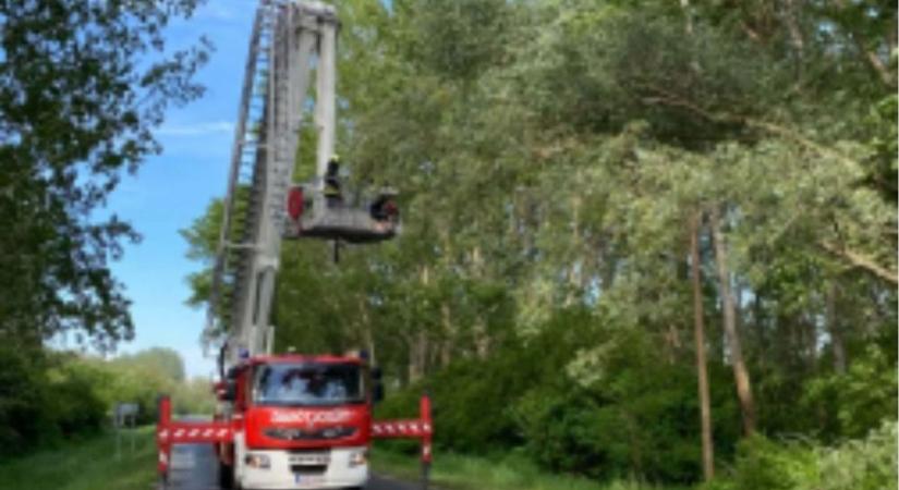 Káoszt okozott a szél Veszprém vármegyében: fák dőltek ki, pincét öntött el a víz