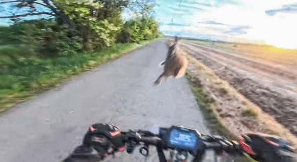 Amire biztosan nem számítasz…