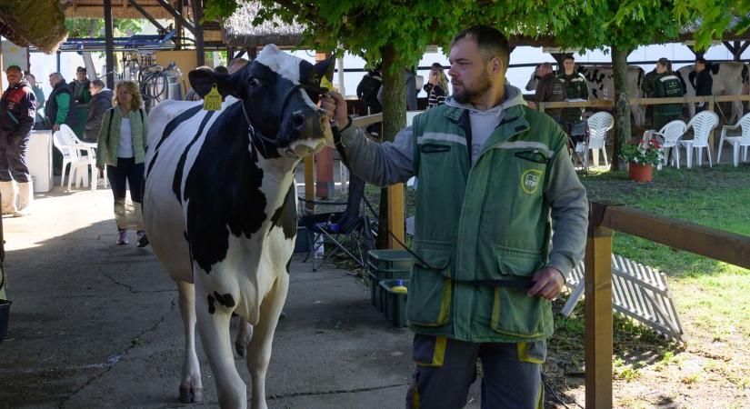 Vásárhelyi agrárnapok és szegedi fordulatok a mai hírösszefoglalóban