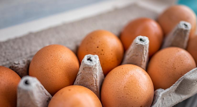 Meddig áll el a tojás a hűtőben? Nem mindegy, hogy termelői, vagy bolti, mert van egy hatalmas különbség