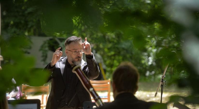 Muzsikál az erdő: varázslatos koncertekkel telik meg a Nyíri erdő és Tőserdő