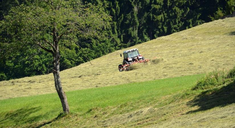 Figyelmeztetik a gazdákat: bejelentés nélkül komoly gond lehet a kaszálásból