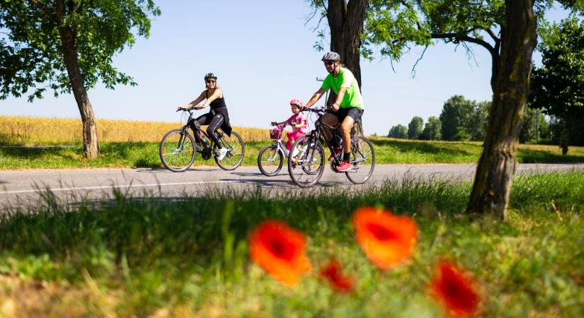 Csallóköz, a természet varázsa – Pihenj Európa legnagyobb folyami szigetén!