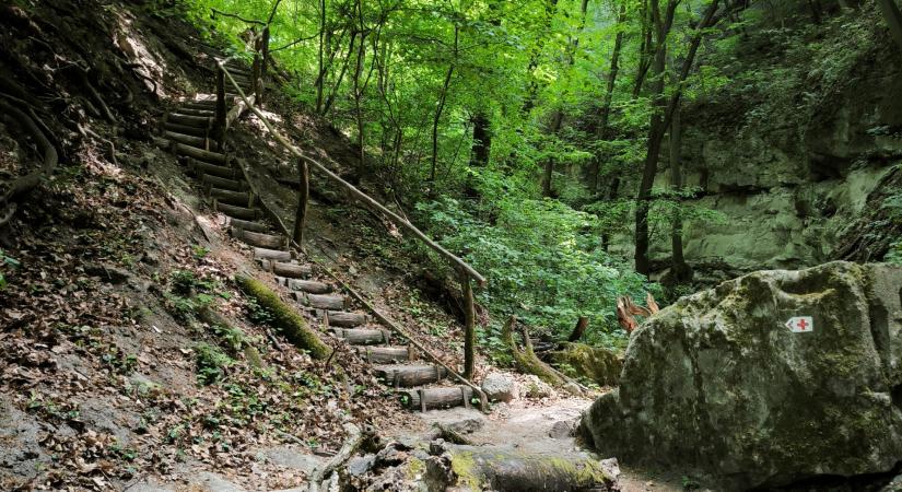 Holdvilág-árok: Körtúra a Dunakanyar vadregényes szurdokvölgyében