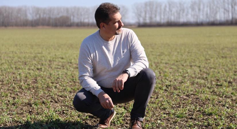 A zöldség-gyümölcs áfájának csökkentése fordulópont lehet az ágazat számára